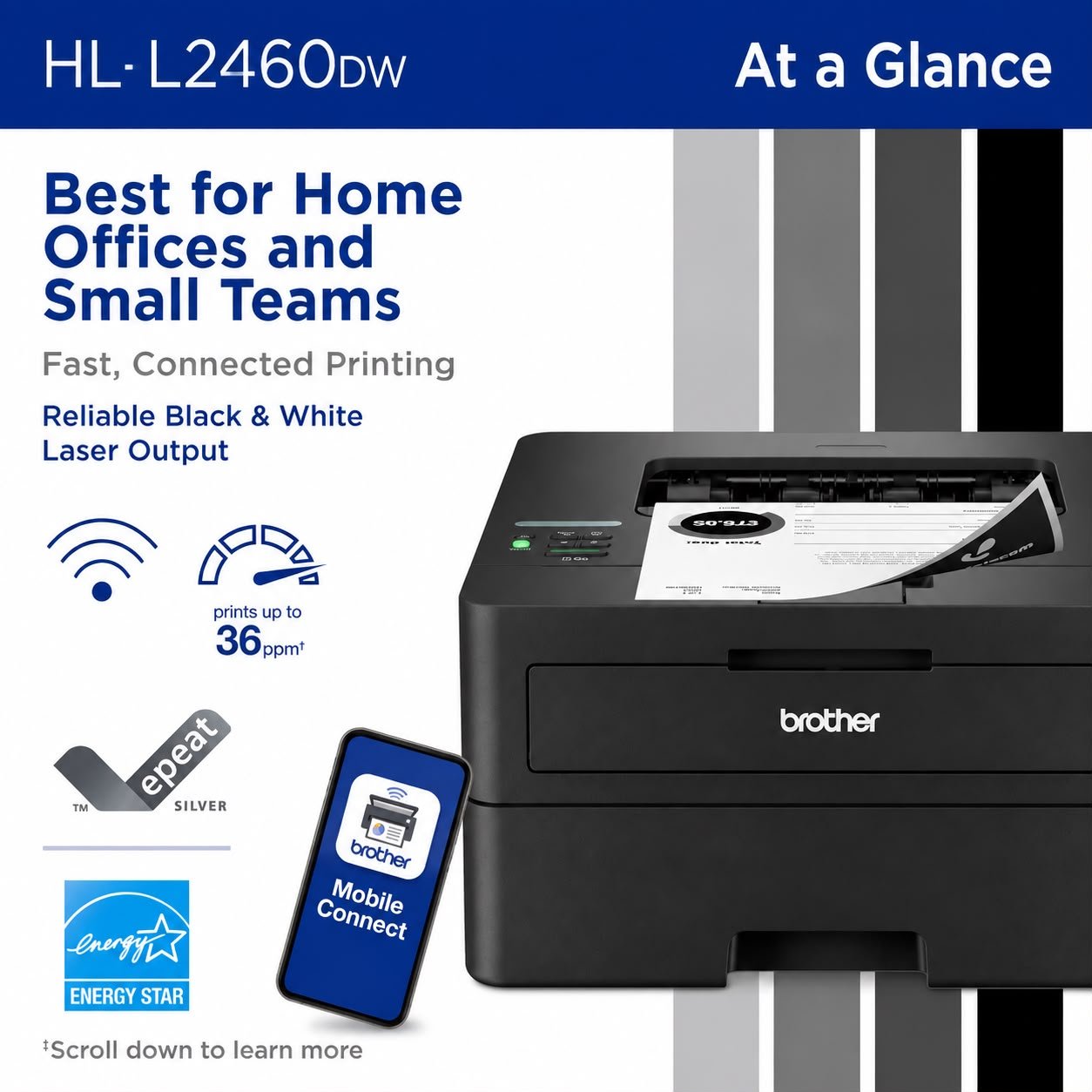Brother HL-L2460DW Wireless Compact Monochrome Laser Printer with Duplex Printing | Grotta Markt